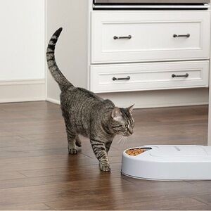 PetSafe® 5 Meal Pet Feeder, Beige